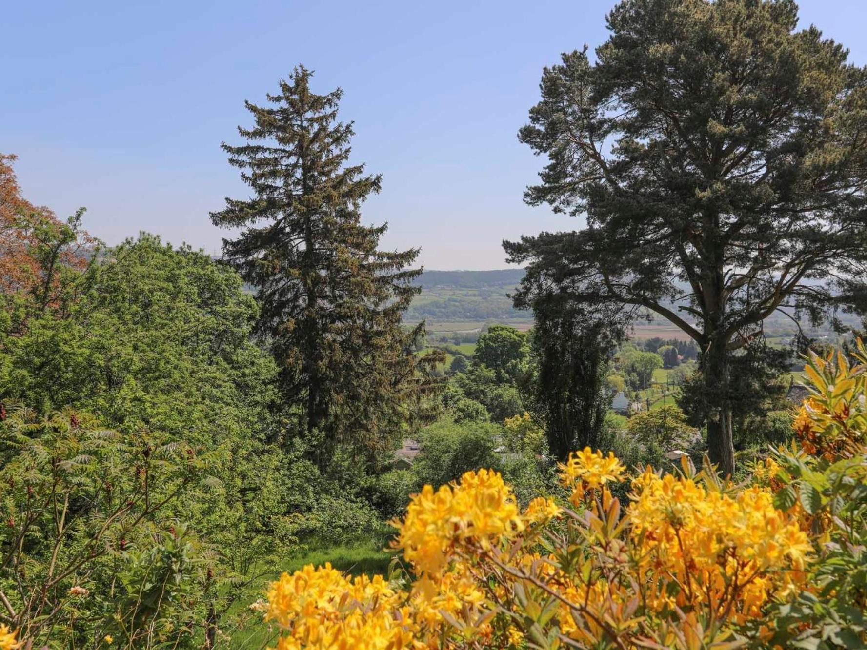 Ty'N Y Cae Villa Llanbedr-y-cennin Dış mekan fotoğraf