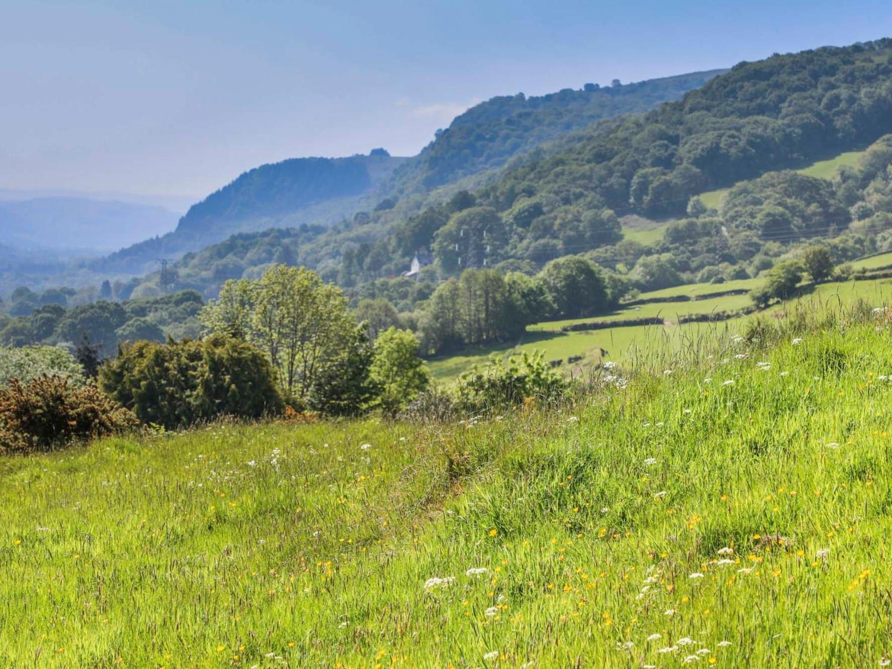 Ty'N Y Cae Villa Llanbedr-y-cennin Dış mekan fotoğraf