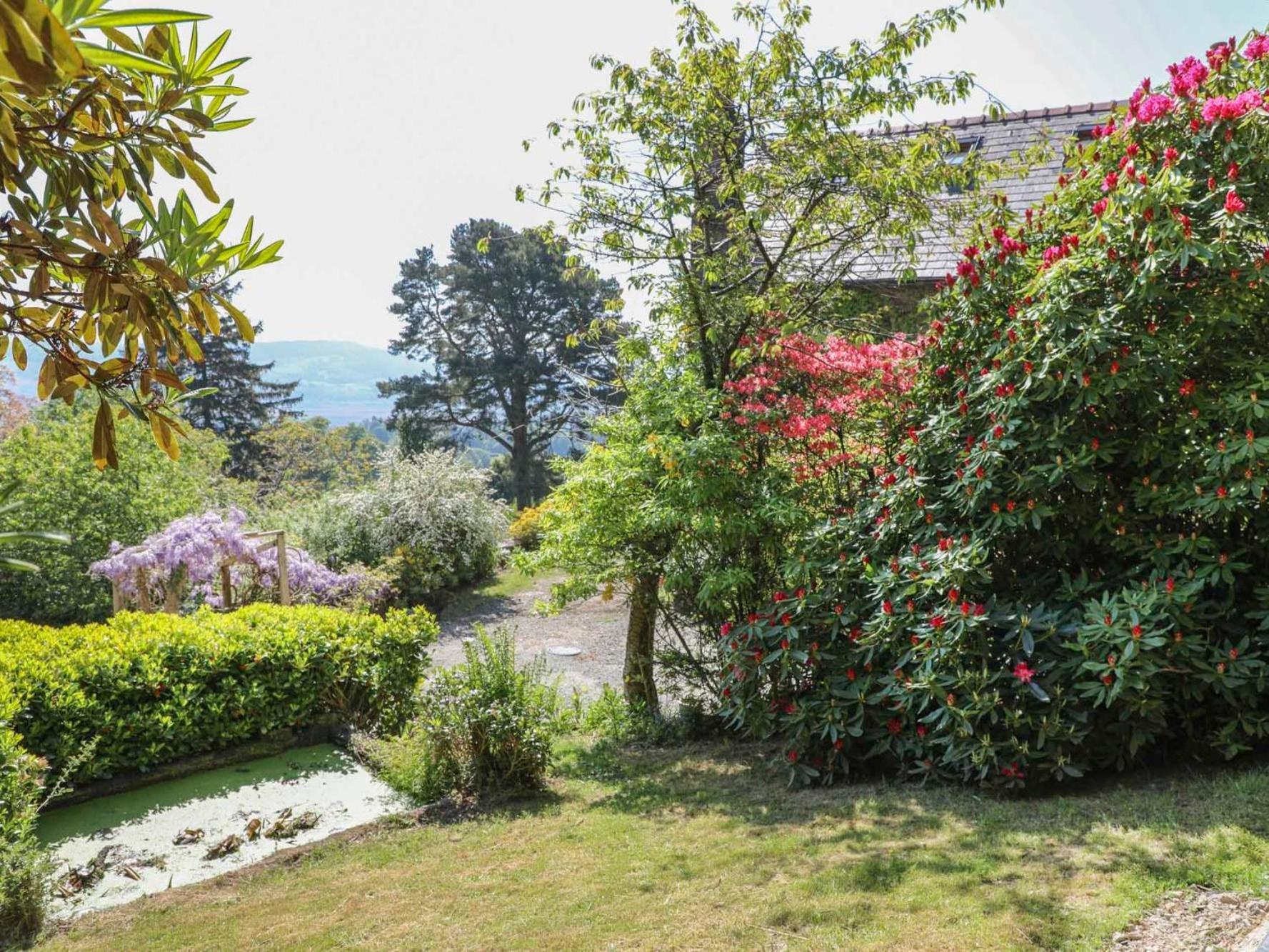 Ty'N Y Cae Villa Llanbedr-y-cennin Dış mekan fotoğraf