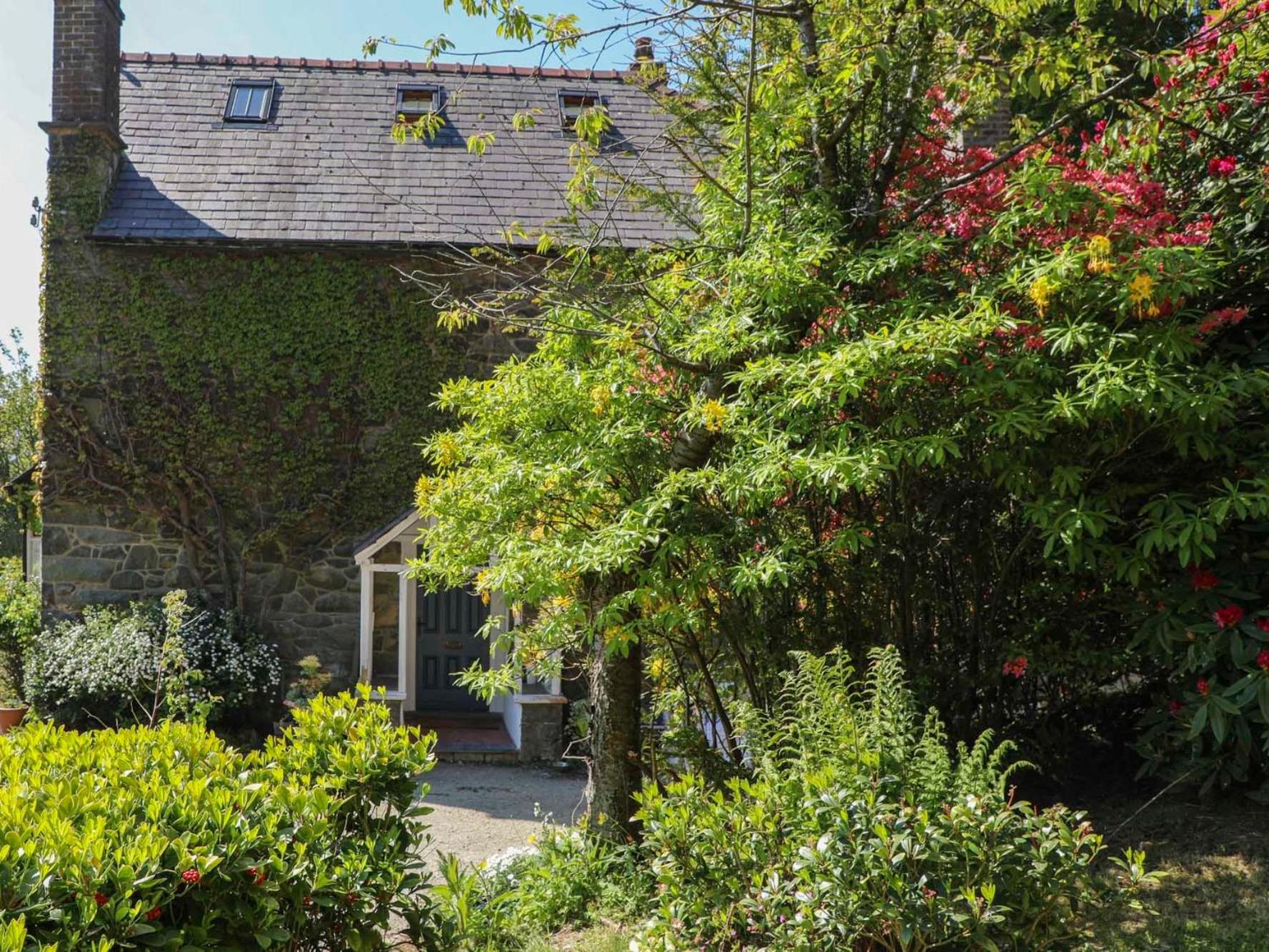 Ty'N Y Cae Villa Llanbedr-y-cennin Dış mekan fotoğraf