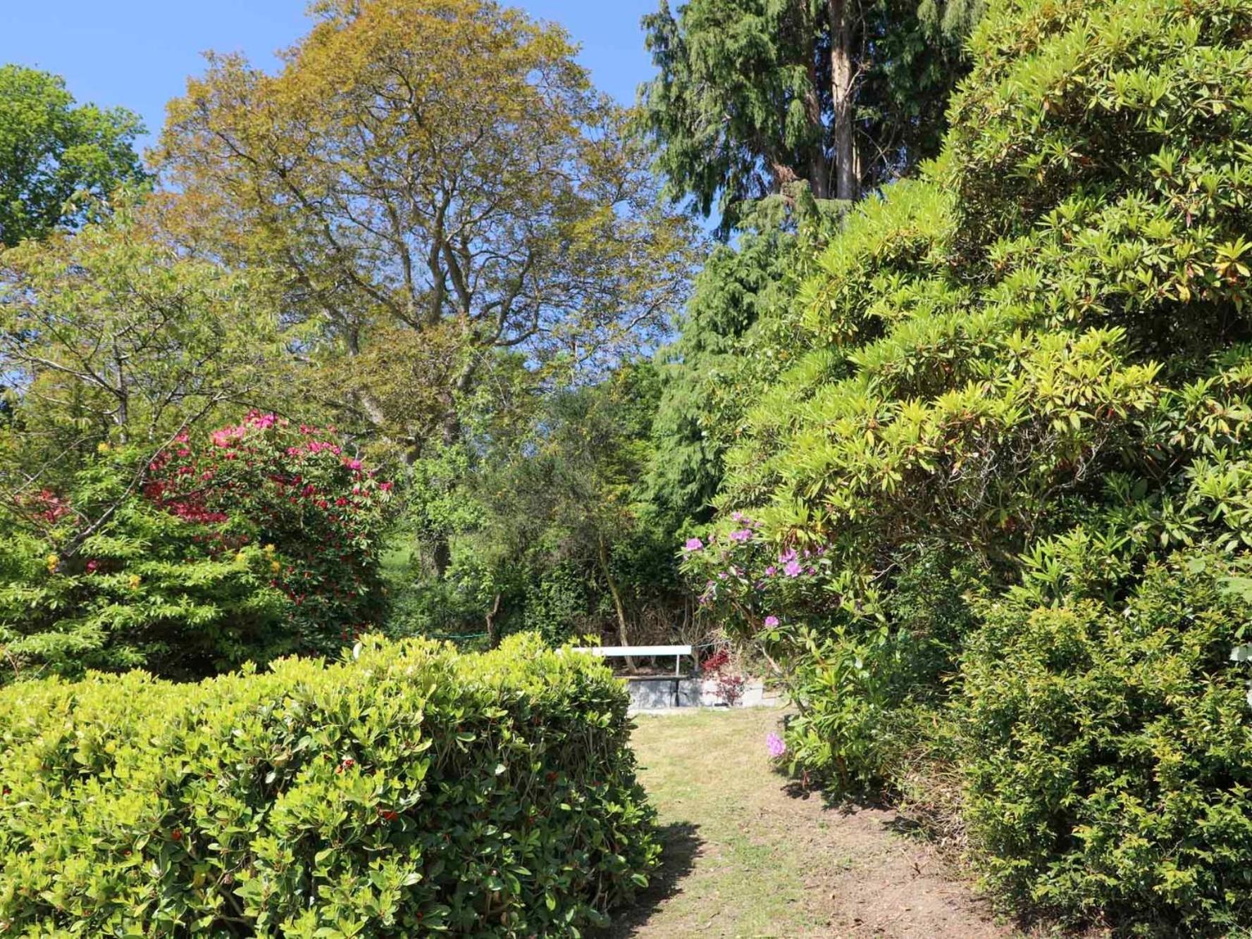 Ty'N Y Cae Villa Llanbedr-y-cennin Dış mekan fotoğraf